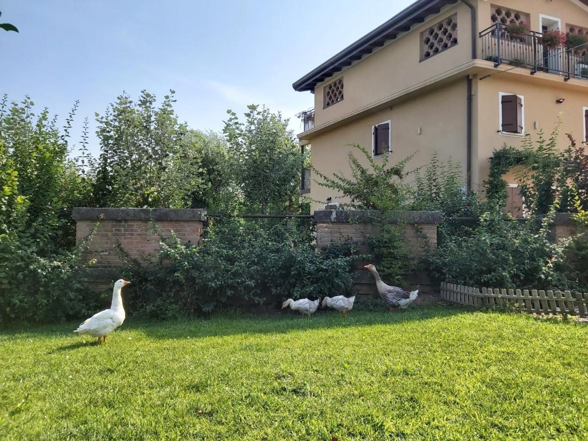 B&B La Casa Sul Fiume San Martino dall'Argine Buitenkant foto